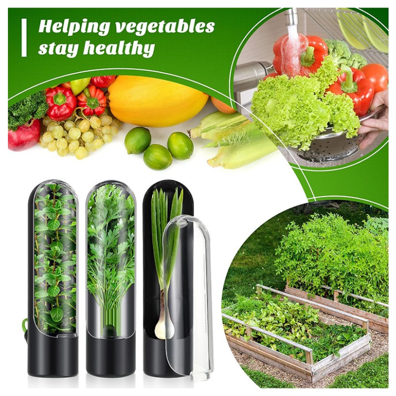Herb Keeper Bottle - 1/2/3개 허브 보관 용기 신선한 허브