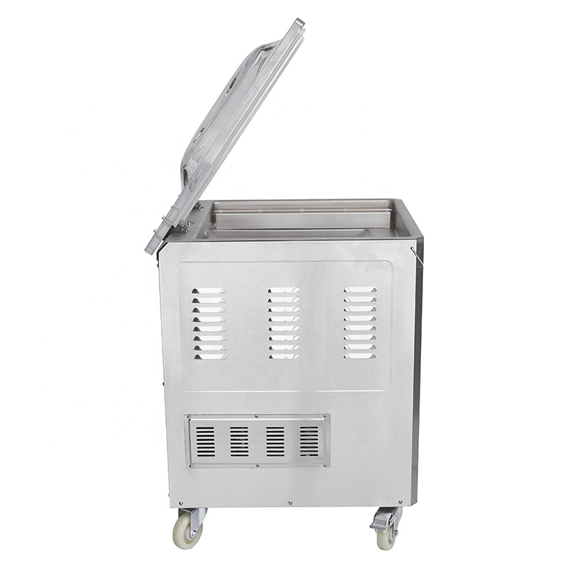푸베이 DZ-500 2Evacuum 실러/단일 챔버 진 - Meal Prep Vacuum Sealer 리뷰 및 가격